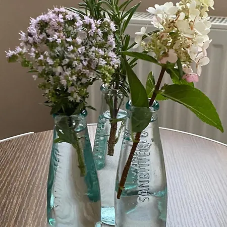 Lieblingsplatz In Aichtal-groetzingen * Aichtal